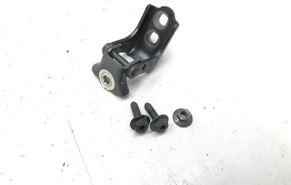 Renault Scenic E-Tech V Rear door lower hinge 804005314R