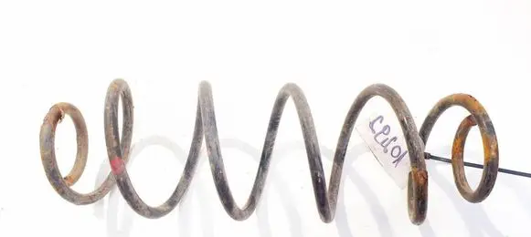 Rear coil spring