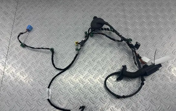 Volkswagen PASSAT B8 Rear door wiring loom 8U0959845 3G1971121DH