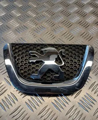Peugeot 307 Front grill 9653466777 P0002489 1020358