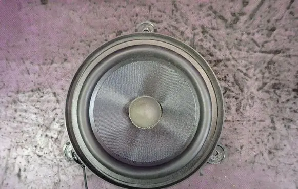 Renault Laguna III Front door speaker