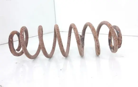 Volkswagen PASSAT B6 Rear coil spring