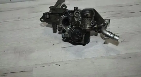 Peugeot Partner EGR valve 5056390300