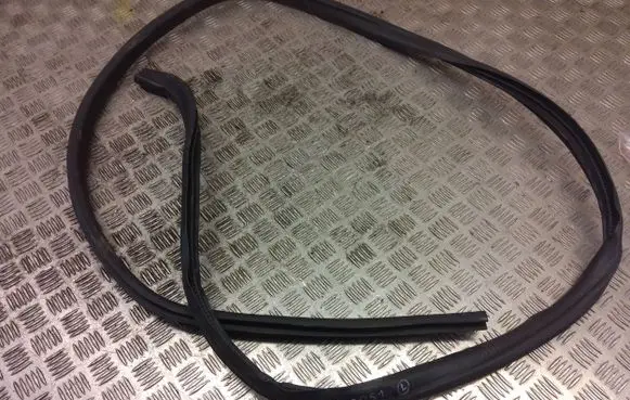 Ford Ecosport Front door rubber seal 
