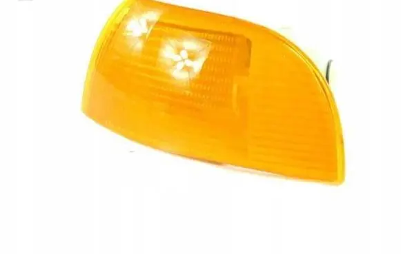 Fiat Punto (199) Front indicator light 12095000