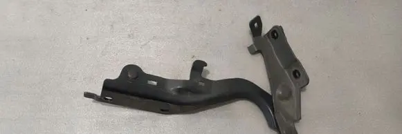 Infiniti QX50 (J50) Engine bonnet/hood hinges 1BAR