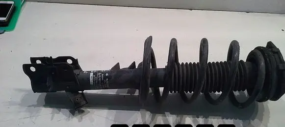 Nissan Qashqai Front shock absorber/damper 824903007720