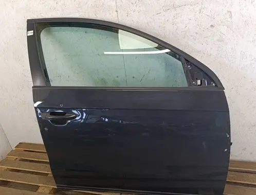 Volkswagen PASSAT B7 Front door