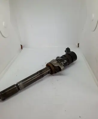 Peugeot Expert Fuel injector 0445110239