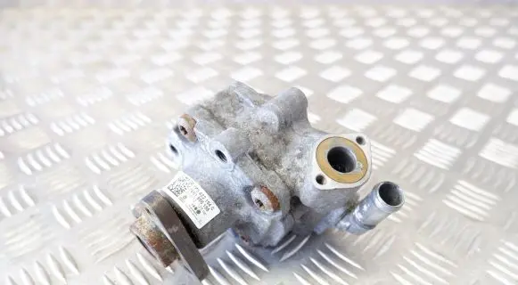 Porsche Cayenne (92A) Power steering pump 7P5422154C
