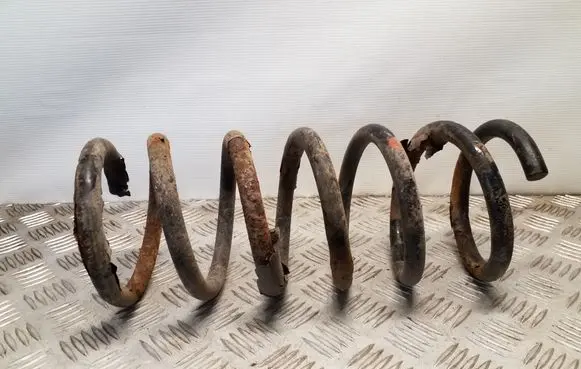 Rear coil spring