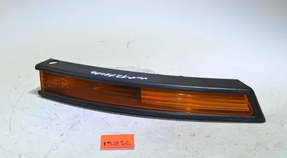 Volkswagen PASSAT B6 Front indicator light 3C0953042J
