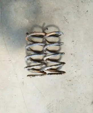 Rear coil spring
