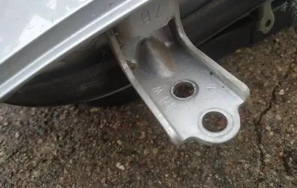 Rear door lower hinge