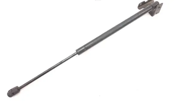 Nissan Pathfinder R50 Tailgate/trunk strut/damper 904601W301