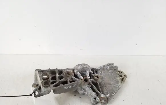 Renault Kangoo II Generator/alternator bracket 8200669495