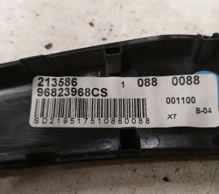 Citroen C5 Rear door card trim 96823968CS 213586