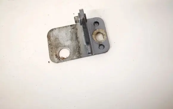 Porsche Cayenne (9PA) Rear door lower hinge