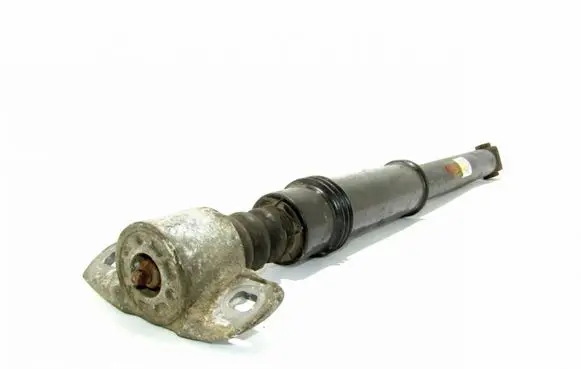 Citroen C4 II Rear shock absorber/damper