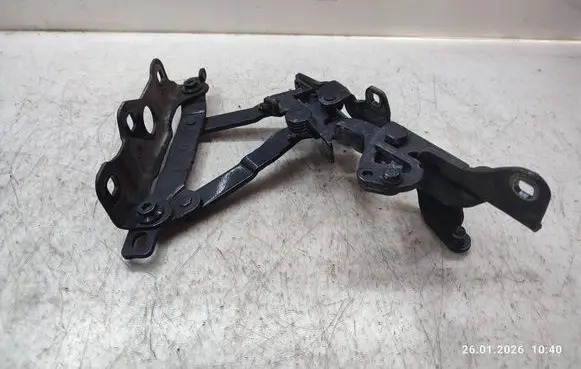 Mercedes-Benz S W222 Engine bonnet/hood hinges 2228800228