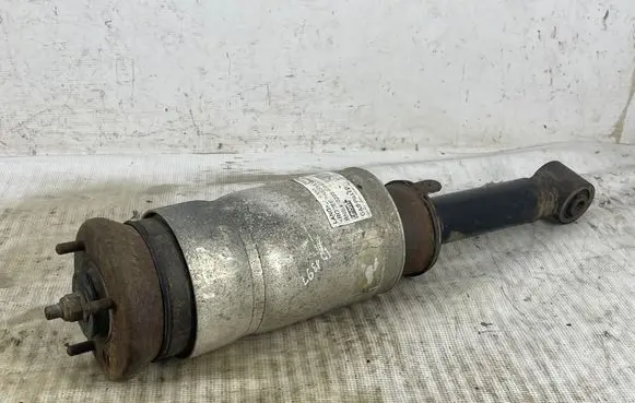 Land Rover Range Rover Sport L320 Front shock absorber with coil spring 3498720 RNB30223