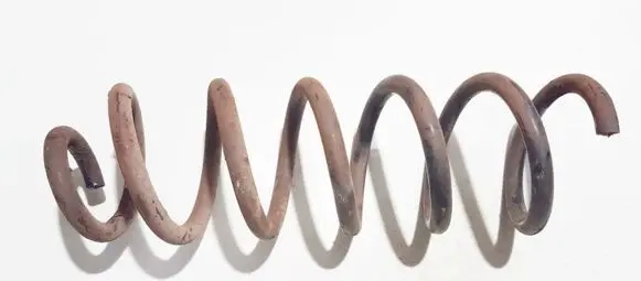 Dacia Sandero Rear coil spring