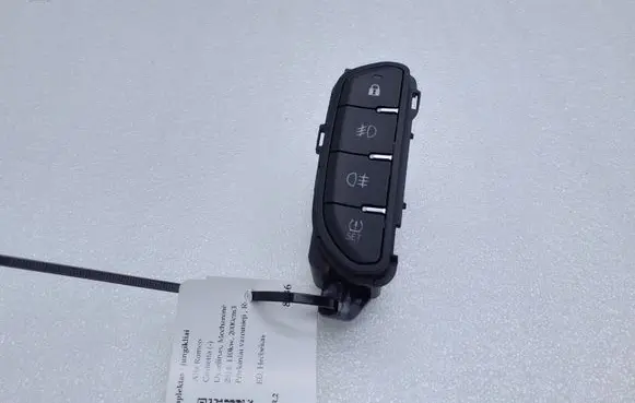 Fog light switch