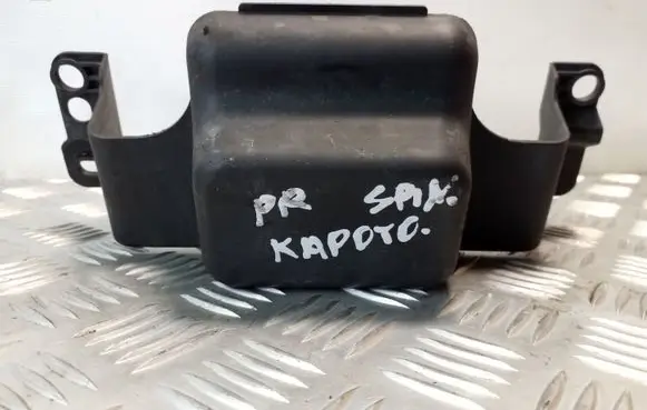 Engine bonnet/hood lock trim molding