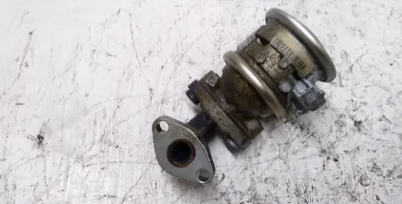 EGR valve