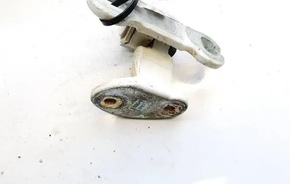 Rear door lower hinge