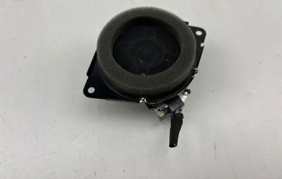 Panel speaker