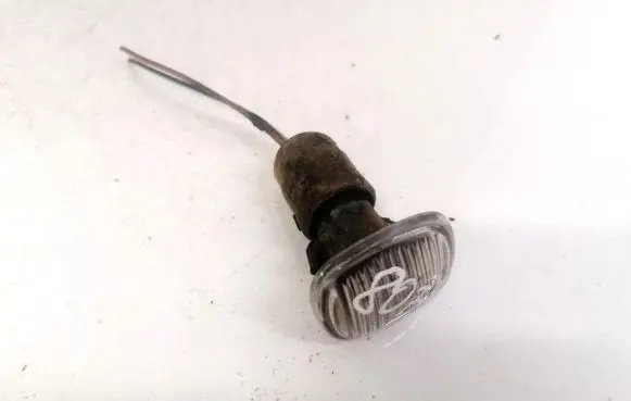 Front fender indicator light