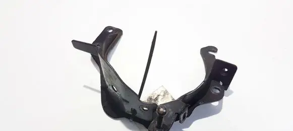 Ford Focus C-MAX Engine mounting bracket 101060db
