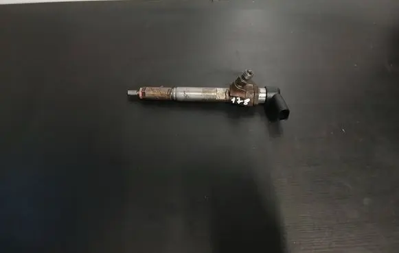 Nissan Qashqai Fuel injector H8200294788