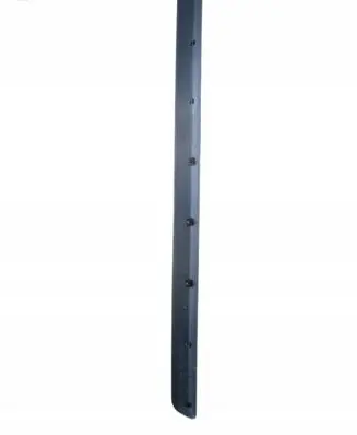 Hyundai Getz Rear door trim (molding) 877211C200