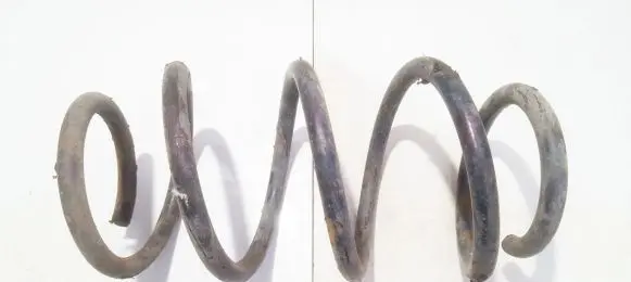 Opel Sintra Front coil spring