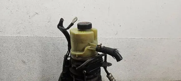 Renault Trafic III (X82) Power steering pump 491100616R A0047924A 93457191