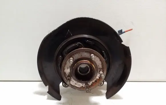 Chevrolet Captiva Rear wheel hub CK21000400L