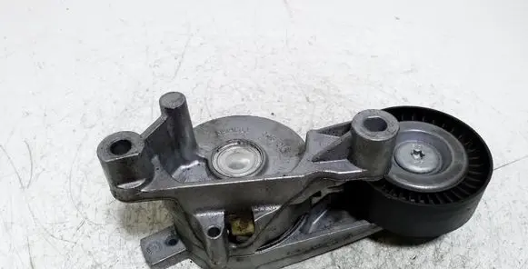 Volkswagen Golf V Alternator belt tensioner 445010