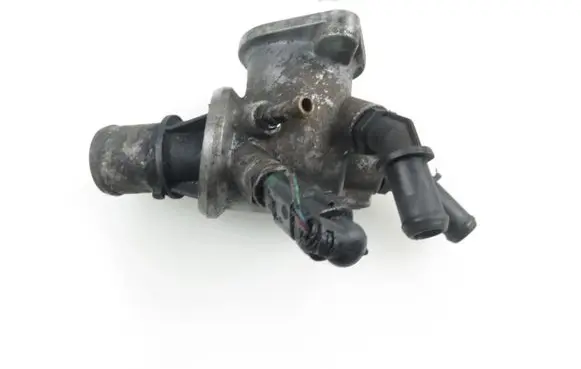 Thermostat/thermostat housing