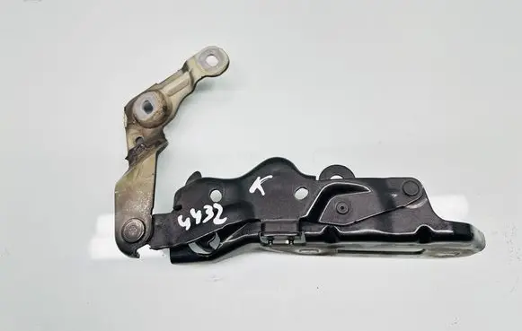 Tailgate/trunk/boot hinge