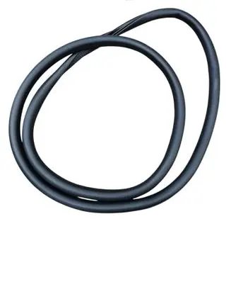 Ford Escape IV Rear door rubber seal (on body) LJ6BS253A10AA