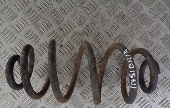 Rear coil spring