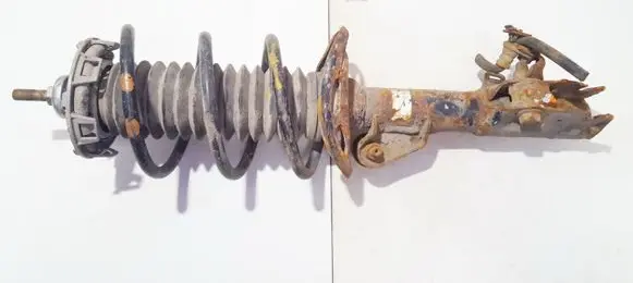 Front coil spring