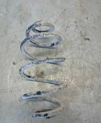 Rear coil spring