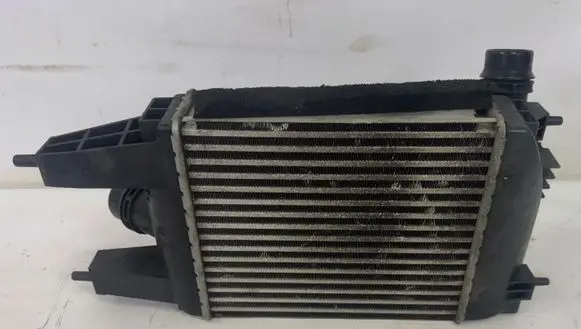 Nissan Juke I F15 Intercooler radiator 144613ZU0B