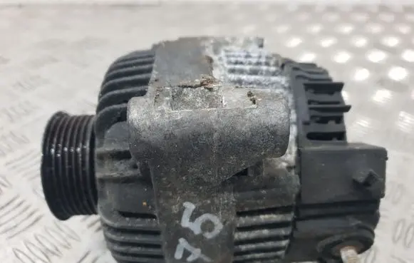 Peugeot 406 Generator/alternator 2541758E