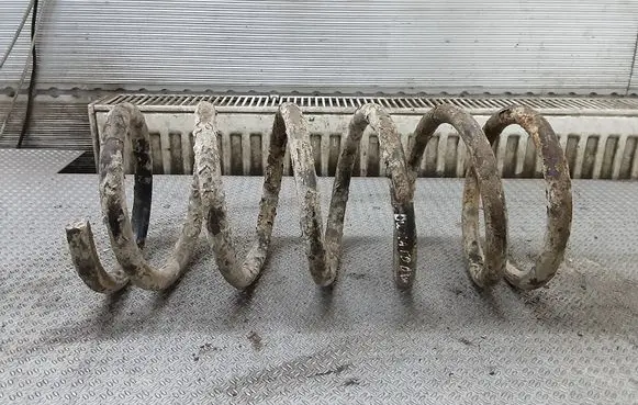 Front coil spring