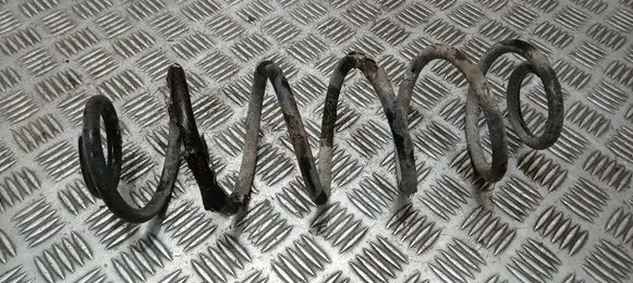 Rear coil spring