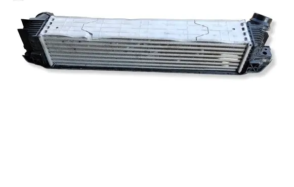 BMW X1 U11 Refrigerator 9846914